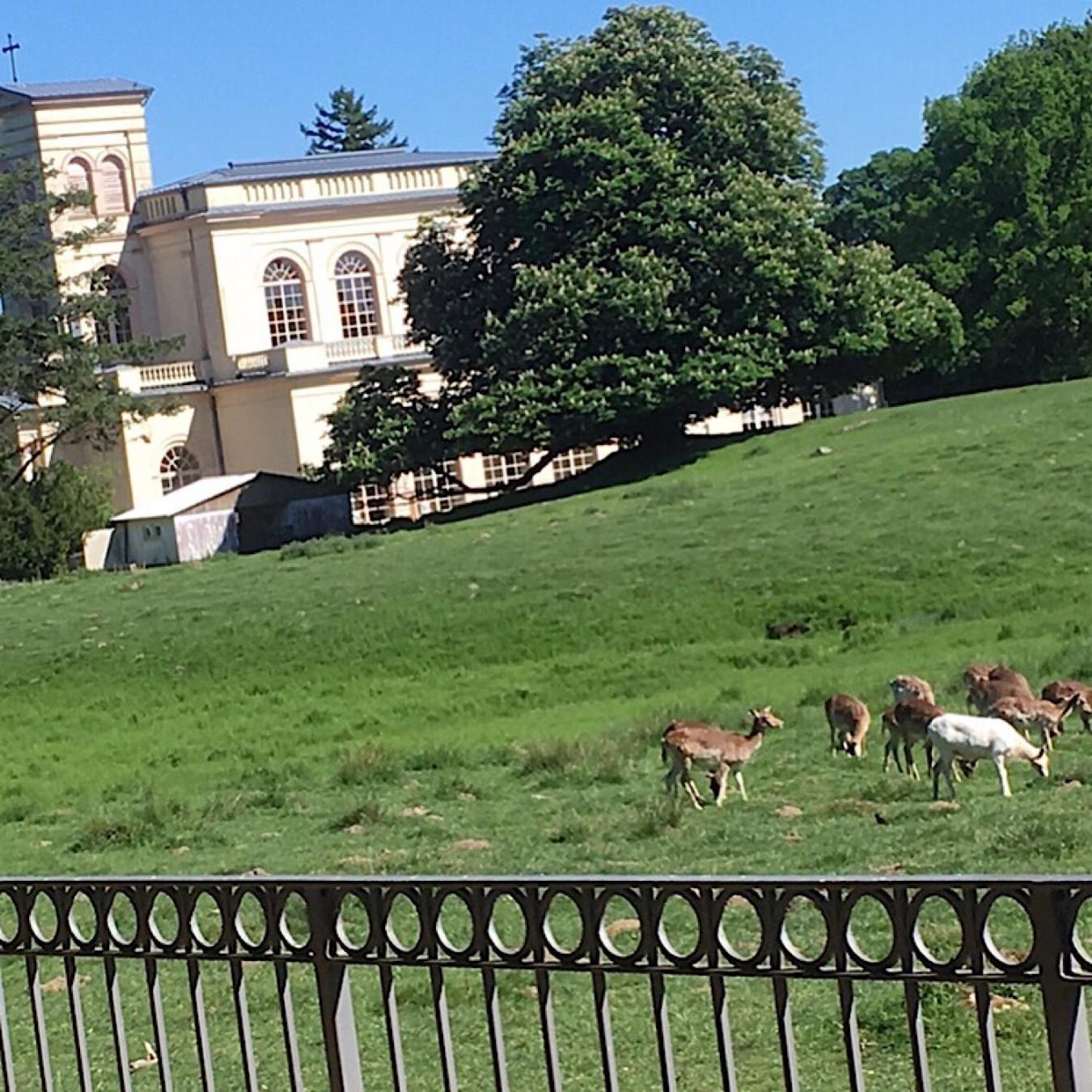 Ferienwohnung "Am Fechtertor- Eingang Zum Schlosspark" Putbus Esterno foto